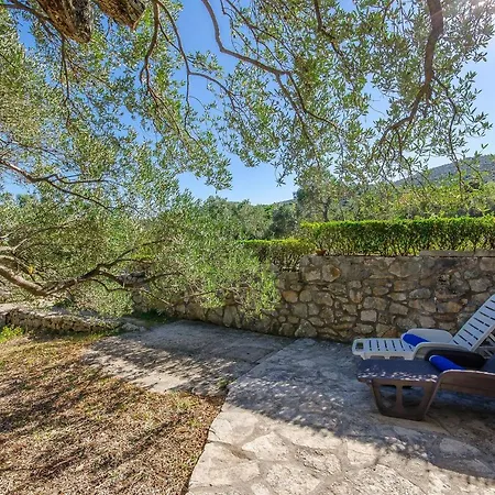 House Petar Сasa de vacaciones *