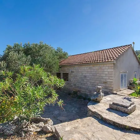 House Petar Vikendica *